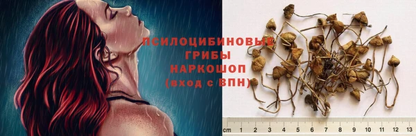 прущие крисы Алексеевка