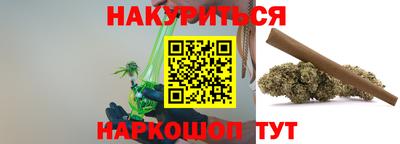 дмт Гай
