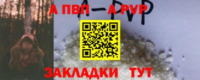 дмт Гай