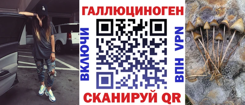 darknet телеграм  Лесосибирск  Псилоцибиновые грибы прущие грибы  даркнет сайт 