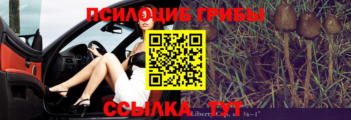 Псилоцибиновые грибы Psilocybine cubensis  Вход с VPN  купить наркоту  Лесосибирск 